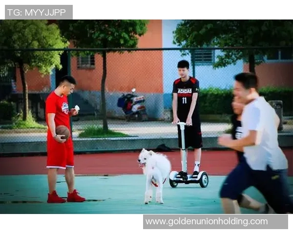 沿河篮球明星的成长之路与梦想追逐的精彩故事